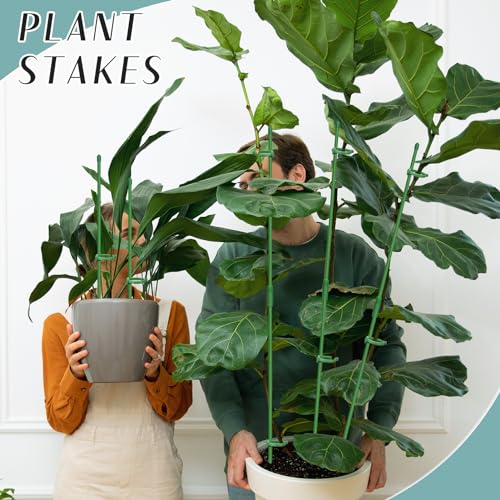 40 Pcs Plant Support Stakes, Indoor Plant Stakes Adjustable Length - size: 20pcs 12inch+20pcs 16inch