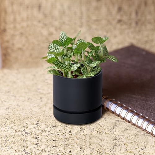 Phoenix Vine 4 Inch Planter Pot with Drainage Hole & Saucer, Deep Water Catch Tray, Straight Cylindrical Round Pot for Plants, Matte Black, Pack of 6, 23-C-R-6 - color: Matte Black, size: 4" (6 Pack)