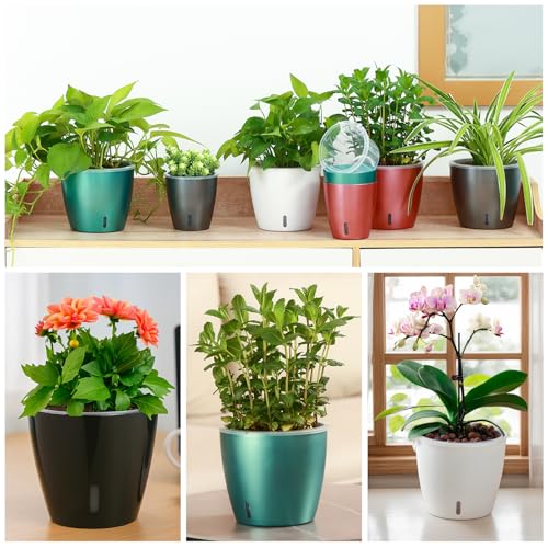 Self Watering Pots for Indoor Plants, 12-Pack 5'' Self Watering Planter with Drainage Holes, Small African Violet Pots with Water Indicator, Clear Wick Pot, White/Black/Blue/Rose Gold - color: White/Black/Blue/Rose Gold 12 Pack, size: 5"