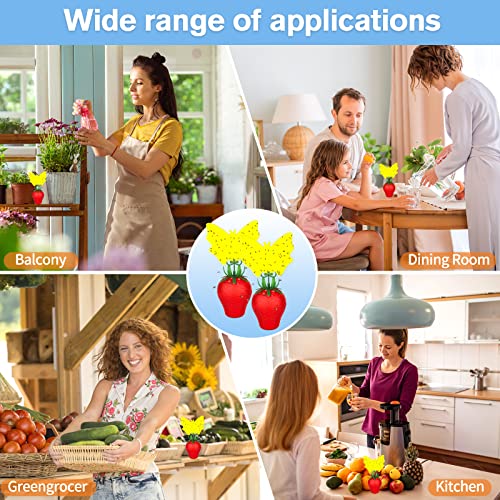 Fruit Fly Trap for Indoors,2025 Upgrade Fruit Flies Gnat Killer with Yellow Sticky Fruit Fly Traps,Safe and Non-Toxic Fruit Flies Traps,Odorless Fly Insect Trap for Home,Kitchen,Plants (Red,2 Pack) - size: 2 pcs