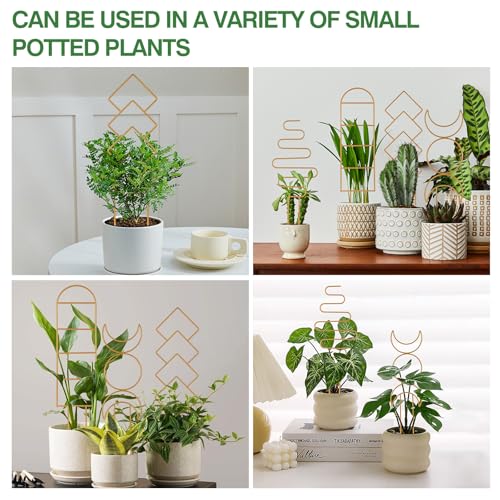 Wellsign 16inch Indoor Plant Trellis for Potted Plants - size: Gold-Metal-Trellis01