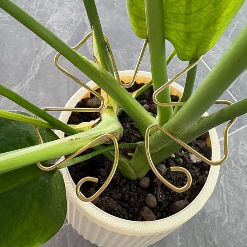 6pcs Plant Stem Support, Iron Monstera Plants Support, Plant Stem Holder - color: Butterfly-6pcs