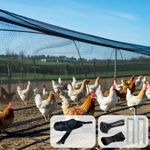 50 x 50 FT Bird Netting for Garden, 1" Square Mesh Size Heavy Duty Nylon Chicken Coop Netting for Blueberry Bushes, Fruit Trees and Vegetable Against Birds, Deer, Squirrels (50X50FT) - size: 50X50FT