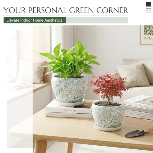 10.2 Inch Ceramic Planter with Saucer Leak-Proof Mesh &Drainage, Round Plant Pot with Gardening Gloves for Indoor Outdoor Plants (Blue Crackle Glaze) - color: Blue Crackle Glaze, size: 10.2 Inch