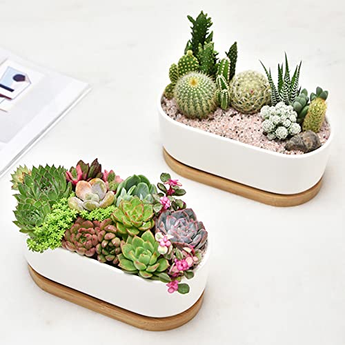 White Ceramic Succulent Plant Pots, Indoor and Outdoor Succulent Planters, Set of 2 Small Cactus Containers, Bonsai Pots, Flower Pots with Drainage Hole and Bamboo Bowl (No Plant) - color: Oval-shaped