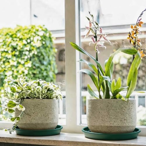 2Pcs 6 Inch Plant Saucer Drip Tray, Clear Plastic Flower Pot Saucers, Thicker Anti-Rot Root Water Catcher Tray for Indoor Outdoor Planters, Heavy Sturdy Pot Base Plate Green - color: Green