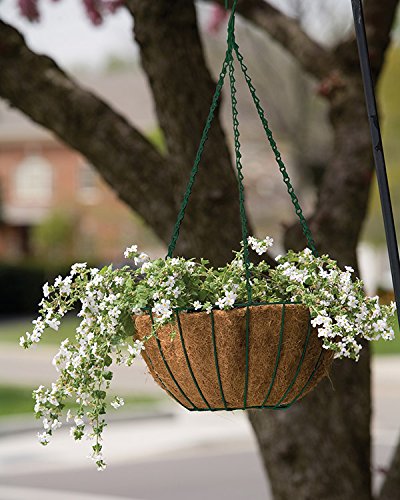 Panacea 88503 Growers Series Hanging Basket, Green, 14-Inch - size: 14 inch
