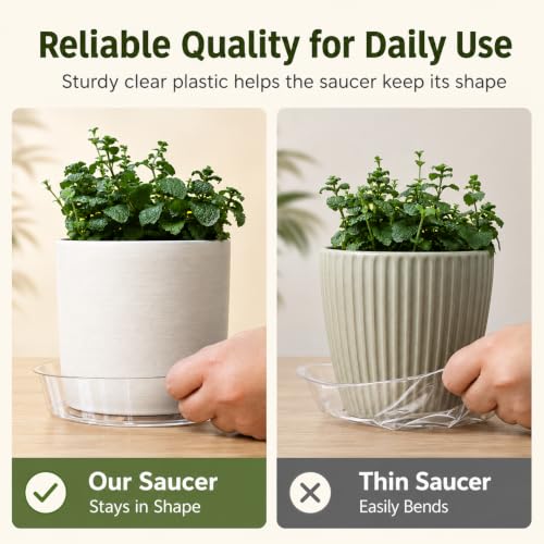 Gardzen Heavy Duty Clear Plastic Plant Saucers, Flower Pot Tray - Excellent for Indoor & Outdoor Plants (6-Inch, 10-Pack) - size: 6 Inch