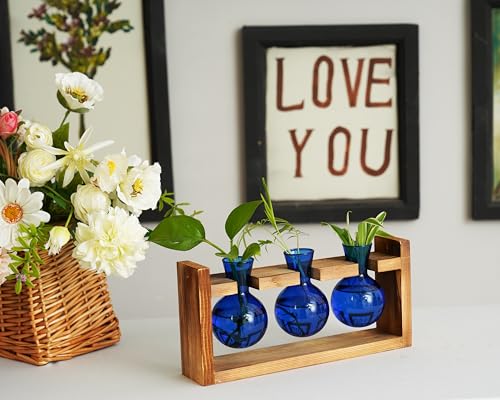 Kingbuy Glass Plant Terrarium Propagation Station - 3 Bulb Colored Vases with Retro Wood Stand Indoor Garden Planter - Wall Mounted & Desktop Decor for Home Kitchen Wedding, Gift for Plant Lover, Blue - color: Blue