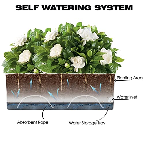 Self Watering Planters Pots for Indoor Plants, 7 Pack 4+8+17 Inch Plastic Window Boxes Planters Herb Planter, Rectangle Rectangular Planter Windowsill Planters with Drainage and Saucer - color: Dark Gray, size: 4+8+17 Inch (7 pcs)