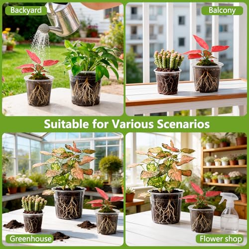 36 Pack 6/8/10 Inch Clear Nursery Pots with Drainage Holes - size: 6/8/10in(36pack,clear)