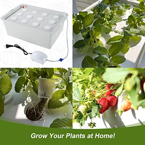 MAOPINER Indoor Hydroponic Grow Kit 12 Sites Deep Water Culture System