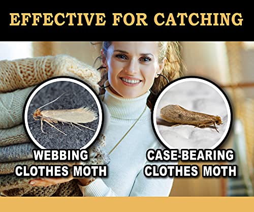 MaxGuard Clothes Moth Traps (12+2 Free Traps) Extra Strength Pheromones | Non-Toxic Sticky Glue Trap for Closets and Carpet Moths | No Mothballs | Lure, Trap and Kill Case-Bearing Webbing Moths |