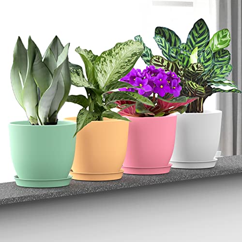 SwinDuck 6 Inch Plant Pots, 12 Pack Plastic Planters Modern Flower Pot with Drainage Holes and Saucers for All House Plants, Herbs, Flowers and Seeding Nursery, Colorful - color: Colorful
