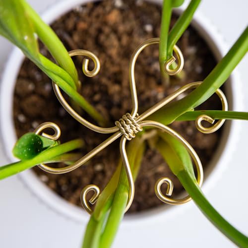 5Pcs Monstera Plant Stem Support Hook-2.75x2.75in Plant Stem Holder - size: 2.75 x 2.75 inches