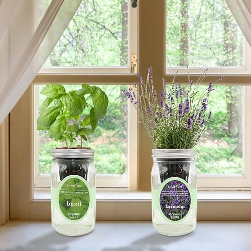 2-Pack Hydroponic Mason Jar Herb Garden Kit, Indoor Herb Garden Self-Watering Starter Kit (Basil,Lavender)