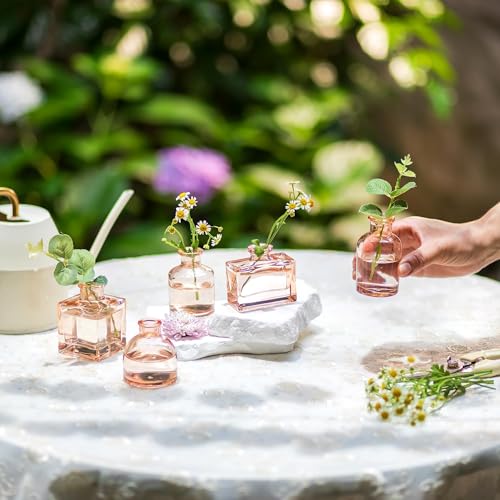Glasseam Champagne Mini Bud Vases, 5 Pcs Small Glass Vases for Centerpieces - color: Champagne, size: 5Pcs- Mini Vases