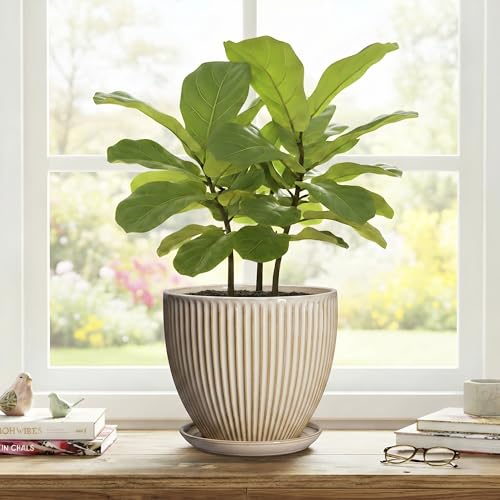 8 Inch Pots for Plants, Ceramic Planter with Saucer, Beige - color: Beige, size: 8 Inch