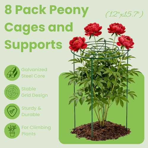 Lancisism 8 Pack Peony Cages and Supports - Heavy Duty Grow Through Metal Plant Support for Outdoor Plants - Plant Support Frame Ring for Rose Tomato Hydrangea Sage Strawberry 12" D x 16" H