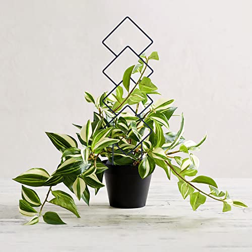 Wellsign 16inch Small Indoor Plant Trellis for Climbing Plants Outdoor - size: Black-Metal-Trellis01