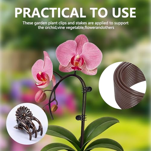 Plant Support Stakes with 50 Plant Clips, 32ft Plant Sticks, 800 Ties Brown - color: Brown, size: 32Ft