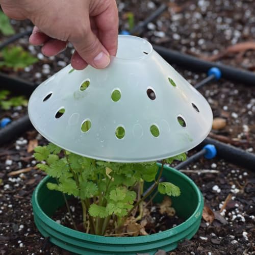 Outdoor Germination and Grow Kit with Greenhouse Domes - Direct Water and nutrients to Roots, Protect Seeds and Seedlings, 4 Sets, Red, Made in The USA - color: Red