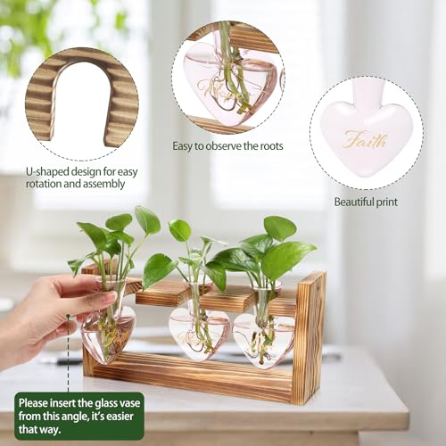 Plant Terrarium Propagation Stations Hydroponics - color: Pink(Faith Hope Love)