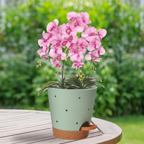Orchid Pot, 6 Inch Orchid Pots with Holes, 3 Pack Self Watering Plant Pots - color: Multicolor