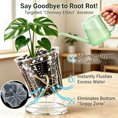 Root-Safe Clear Plant Pots for Indoor: Zero Transplant Shock for Orchids