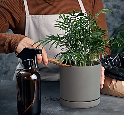 D'vine Dev 2-Pack Ceramic Pots with Saucers, 6/8 in, Grey, 94-G-M-3 - color: Gray, size: Medium