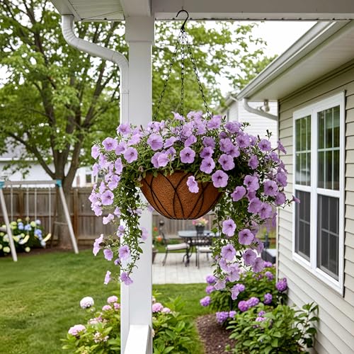 HOSY 2-Pack 12-in Hanging Metal Planter Baskets with Coconut Fibre Liner - color: Petals - Black