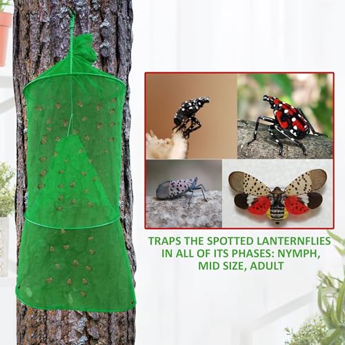 (Green, 2 Pack) Spotted Lanternfly Mesh House Trap SLF. Simple and Effective Way to Catch Lantern Flies and Nymphs - color: Green