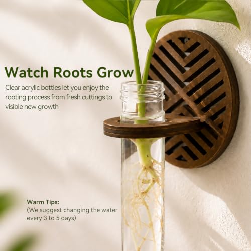 Artilady Plant Propagation Station Wall Hanging, Wood Arch Terrariums Tube - color: Round