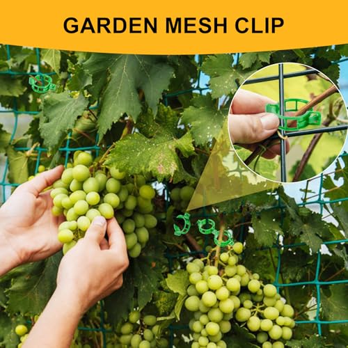 Secured Plant Support Clips - Heavy Duty Tomato Clips for String Trellis 200Pcs, Grape Vine Grid Clamp for Garden Netting Climbing Plants, Fixing Stem and Vine (Green) - color: 200pcs Green