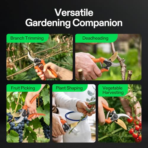 VIVOSUN 8" Bypass Pruning Shears for Gardening, Heavy-Duty Garden Scissors, Ultra Sharp Pruners with 3/4 in. Cut Capacity, Garden Clippers for Pruning - style: Bypass Pruner