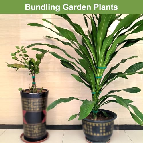 SumDirect Plant Tape 75 ft Plant Ties for Climbing Plants Garden Twist Ties Plants Adjustable Green Garden Tape for Plants, Flowers, Vines and Tree (75 ft x 1/2 in) - size: 75 ft x 1/2 in