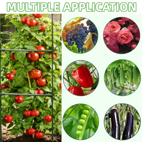 3 Pack Square Tomato Cages for Garden, 59 Inch Tall Heavy Duty Metal Tomato Plant Support Trellis, Adjustable Large Tomato Stakes for Outdoor Pots Climbing Plants, Vegetables, Cucumber - size: 59Inch