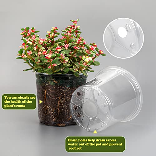 RAOOKIF 25 Pack 3.5 Inch Clear Nursery Pots with Drainage Holes, Flexible Plastic Nursery Pots for Plants, Reusable Garden Flower Pot, Seed Starter Pots - size: 3.5 INCH