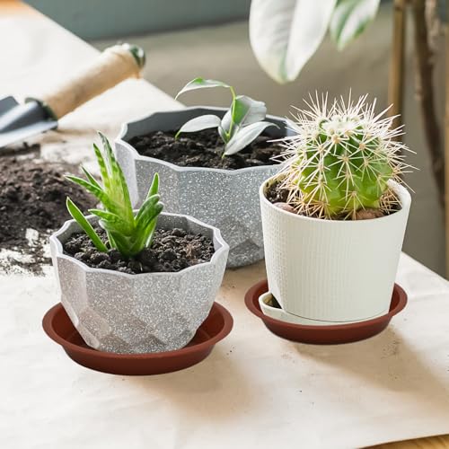 6 Pack 6 Inch Terracotta Plant Saucers Plastic Drip Trays for Pots - color: Terracotta, size: 6 Inch