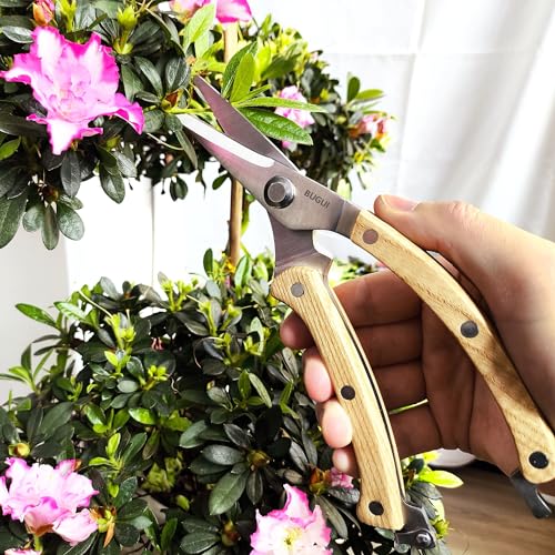 BUGUI Wood Handle Garden Shears, Long Straight Tip, All Steel Construction, Sharp, Well Designed Garden Scissors, 8" - style: 8"WoodHandleShears(E011)