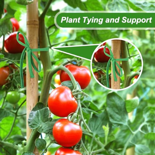 Shintop 2 Packs Garden Twine, Soft Green Plant Ties for Tomato (196ft)