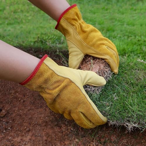 OZERO Leather Gardening Gloves for Men, EN388, 24 Pairs Bulk, Gold, X-Large - color: Gold(24 Pair), size: X-Large