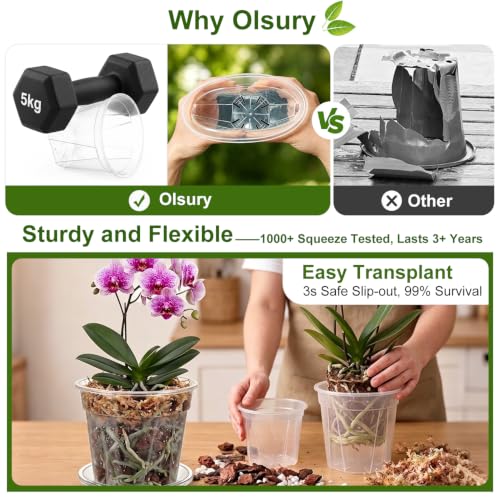 Root-Safe Clear Plant Pots for Indoor: Zero Transplant Shock for Orchids