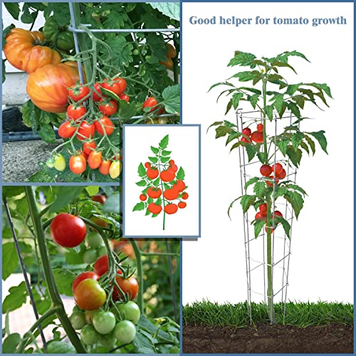 46 Inch Height 3PCS Galvanized Hexagon Folding Tomato Cage,Climbing Plant Support Tower Vegetable Stake Trellis - size: 46in Hex-Galvanized-3Pack