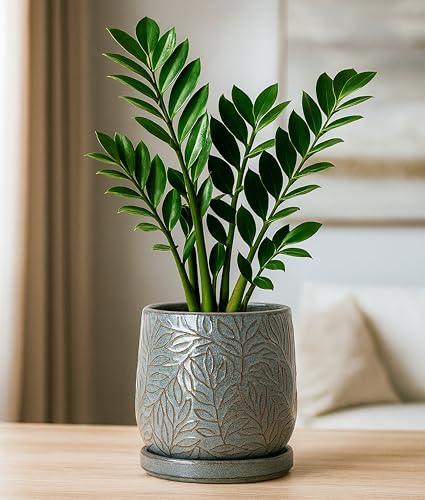 D'vine Dev Embossed Leaves Ceramic Planter, 6 in, Graphite Blue, 27-A-X-9 - color: Graphite Blue, size: 6 Inch