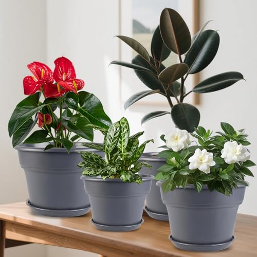 Myfeegoin 6-inch-Plant-Pots-Indoor-Outdoor, 6 Pack Plastic Planters with Drainage Holes & Saucers, Resin Flower Pots with Trays, Classic Garden Pot Container for House - color: Gray, size: 6inch