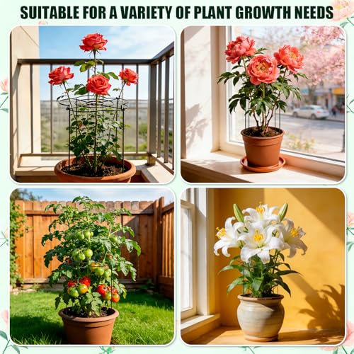 Peony Cages and Supports 8 Pack, 13" Dx24 H Grow Through Plant Supports,Heavy Duty Metal Plant Support Cage for Outdoor Flowers, Tomatoes, Hydrangeas, Cucumbers & Strawberries