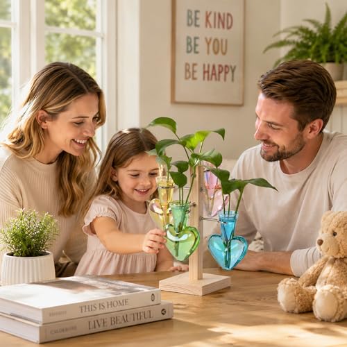 Nacome Plant Terrarium Propagation Stations: Colored Vase with Wooden Stand - color: Colored