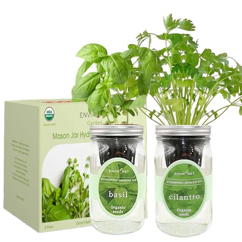 2-Pack Hydroponic Mason Jar Herb Garden Kit, Indoor Herb Garden Self-Watering Starter Kit (Basil,Cilantro) - color: Basil,Cilantro