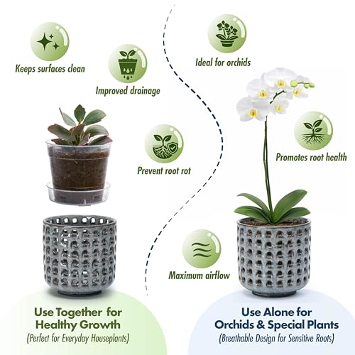 D'vine Dev Orchid Pot, Clear Pot & Saucer, Graphite Blue, 4.5 in, 28-A-Z-3 - color: Graphite Blue, size: 4.5"